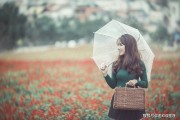 双子座感情预测准吗女，双子座感情